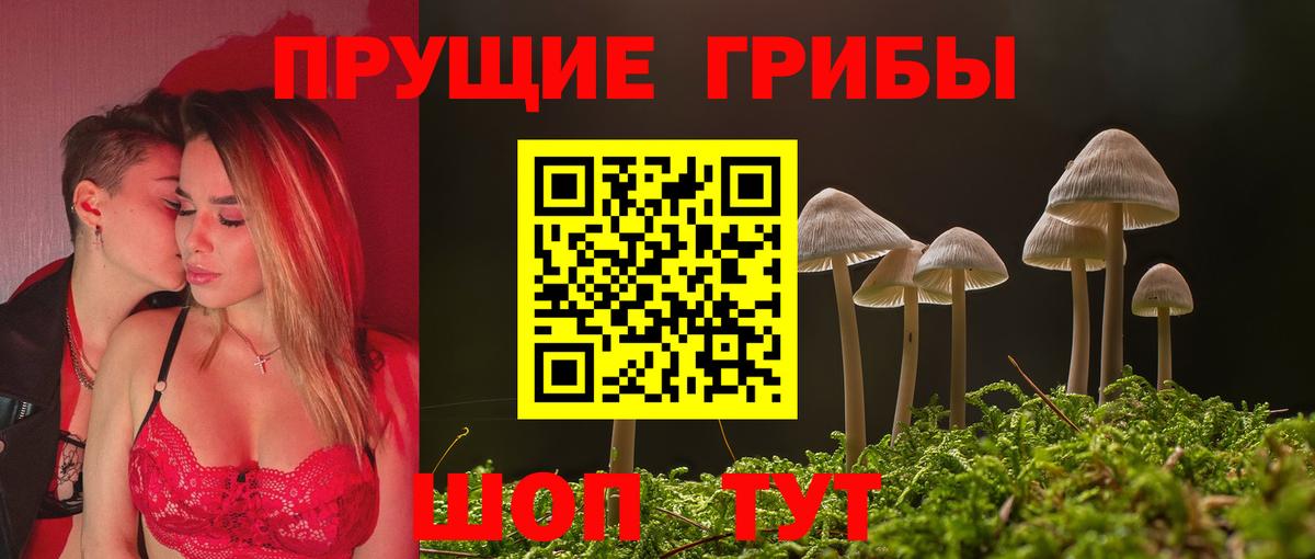 Галлюциногенные грибы Cubensis Сланцы
