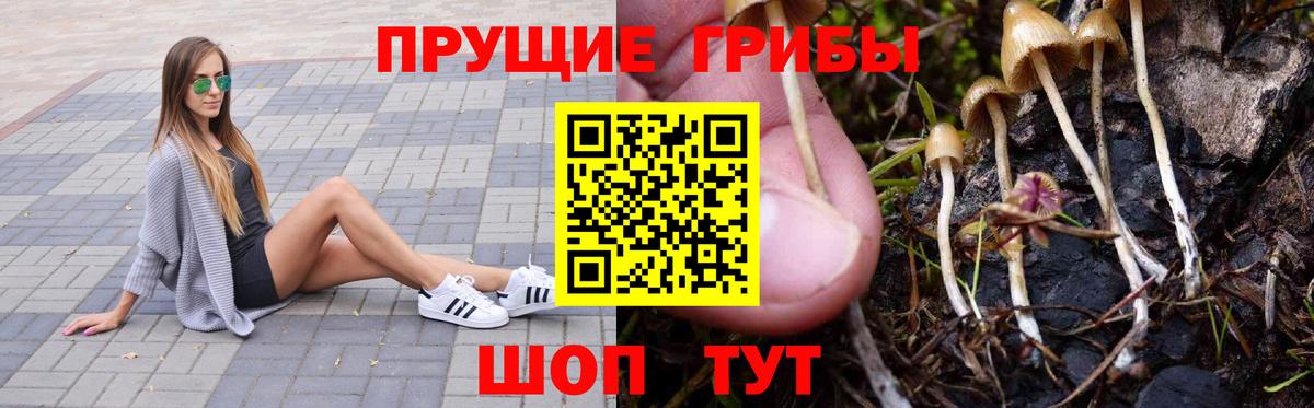 Сланцы  Псилоцибиновые грибы MAGIC MUSHROOMS  Вход с VPN  Псилоцибиновые грибы мухоморы 
